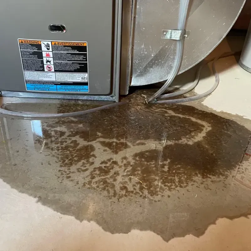 Appliance Leak Cleanup in McDonald, OH