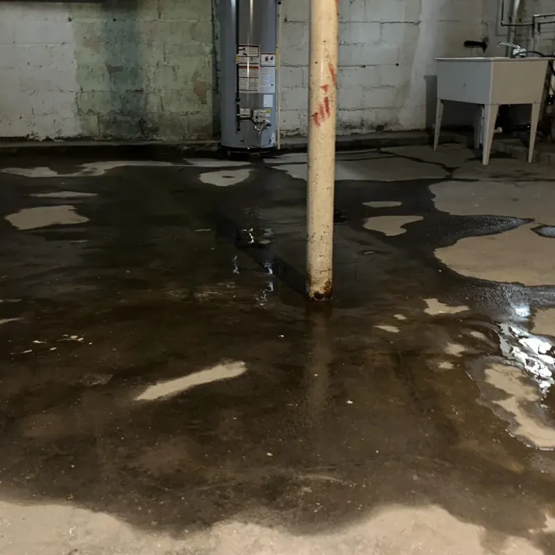 Emergency Water Extraction And Removal in McDonald, OH